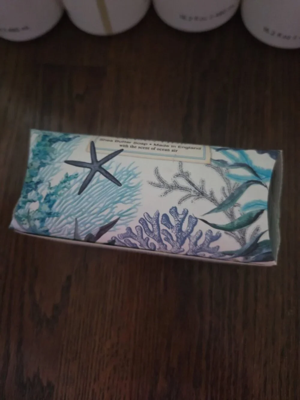 Michel Design Works Ocean Tide Large Bath Soap Bar Ocean Air & Dewy Melon Scent